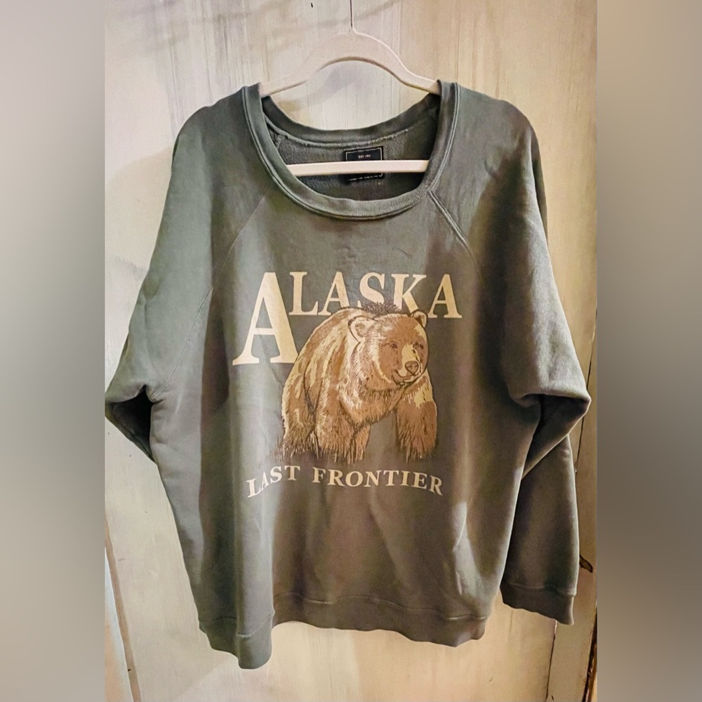 Free People Alaska sweatshirt